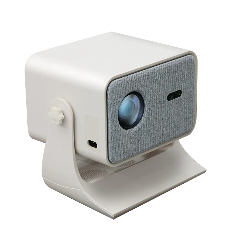 Private label projector program example