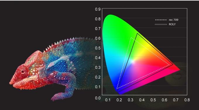 crwfpacmqaw.jpg