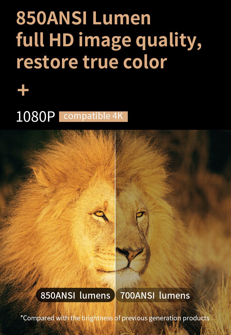 idueg5plbel.jpg