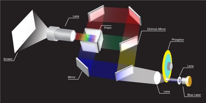 my4d2rzd5md.jpg
